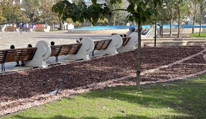 Vegetație acoperită cu prelată în parcul de la Far. Garda de Mediu a început controalele - fond-parc-farul-1698692545.jpeg