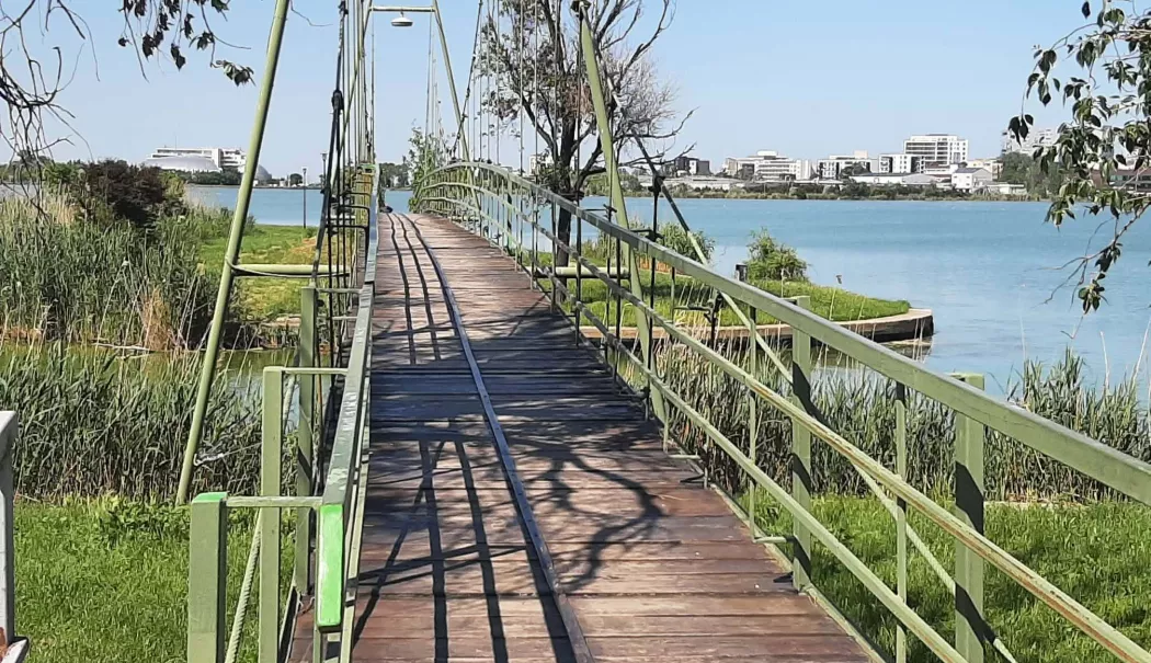 Podul suspendat din Parcul Tăbăcărie, traversat cu teamă. Scânduri rupte, rugină și promisiuni de reparații