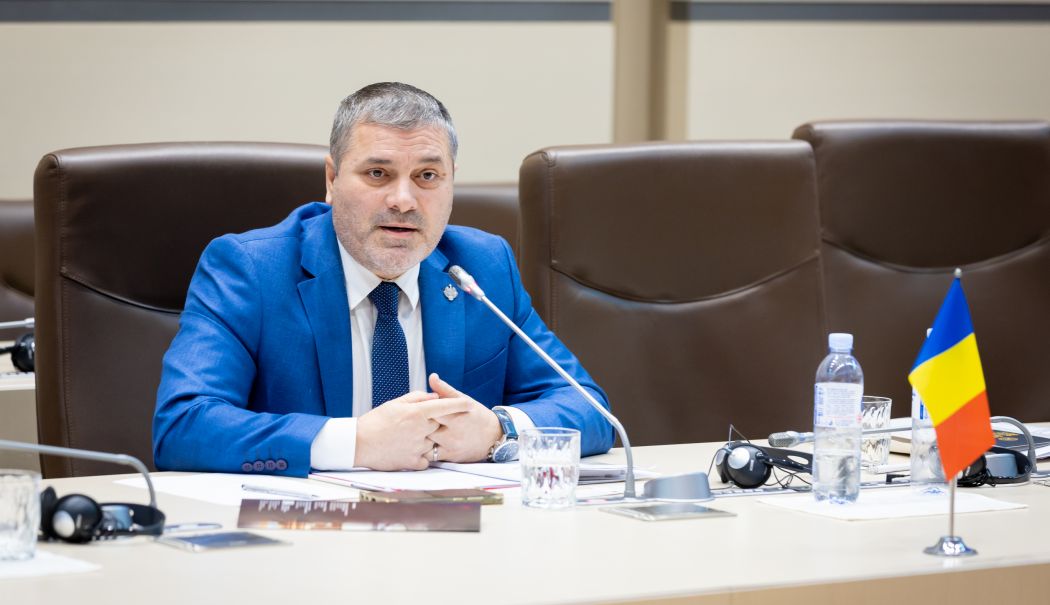 Remus Negoi, despre activitatea sa din Parlament. 
