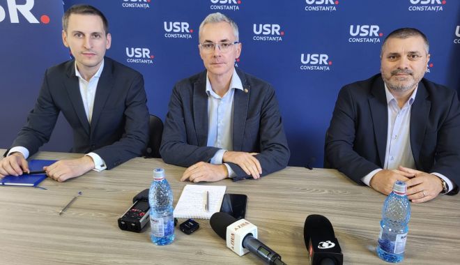 Deputatul Stelian Ion: 
