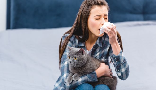 Va apărea primul vaccin împotriva alergiei la părul de pisică - fond-vaccin-alergie-1698762682.jpg