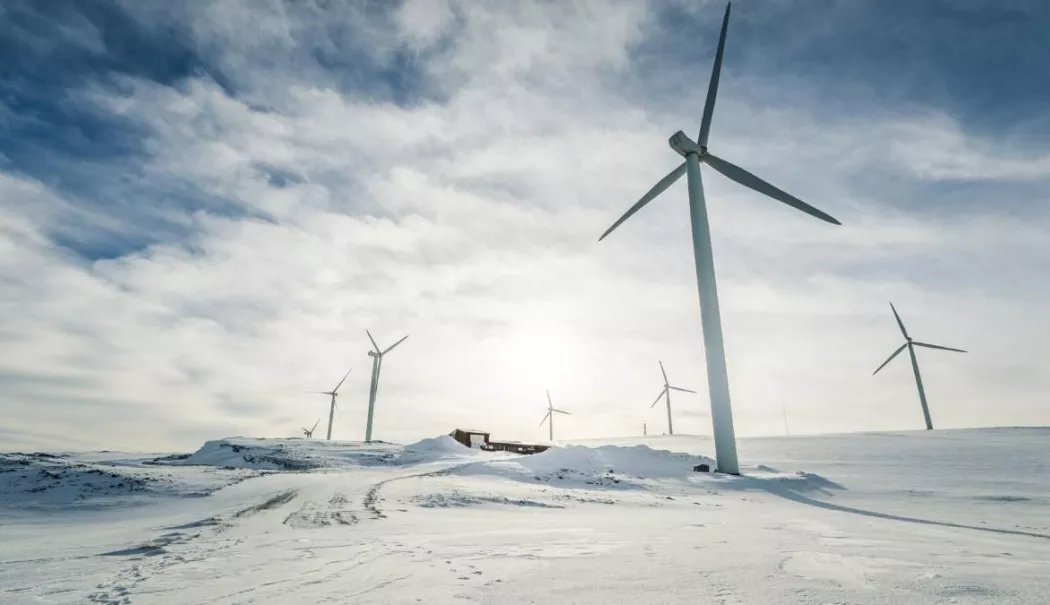 Viscolul a crescut producția de energie eoliană. România a exportat, de Crăciun - fond-viscol-1767027672.webp