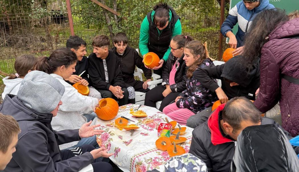 Ziua Recoltei la Centrul Școlar pentru Educație Incluzivă „Albatros” Constanța - fond-ziua-recoltei-1761236549.jpg
