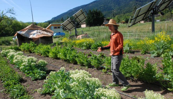 România utilizează prea puţin teren pentru agricultura ecologică. Ce planuri are UE - fond1-1617038917.jpg