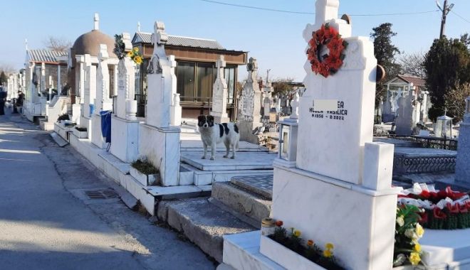 A MURIT bărbatul care a fost găsit cu arsuri grave, în Cimitirul Central din Constanța - fond1681744876-1706525819.jpg