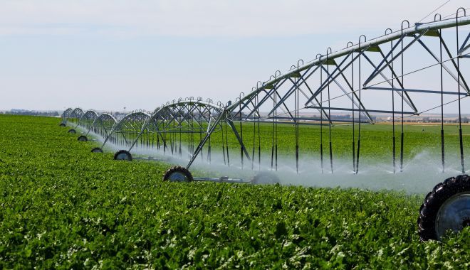 Ce cote de TVA se aplică în agricultură. Cine plăteşte taxa pe valoarea adăugată şi cine nu - fond2-1610564027.jpg