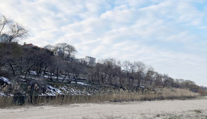 Detalii noi în cazul „defrişării” falezei de la plaja „Modern”. Pro şi contra construirii pe taluz - fond2-1614626090.jpg