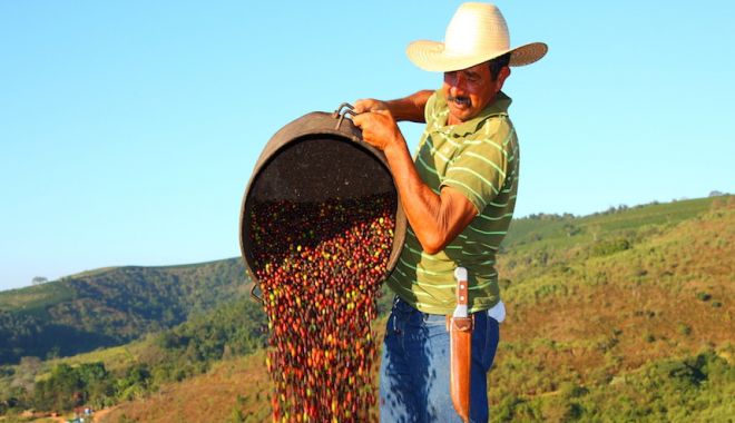 Elixirul dimineţii, cafeaua, s-a scumpit la un nivel record. Schimbările climatice ne-ar putea pune pofta-n cui - fond22-1627928868.jpg