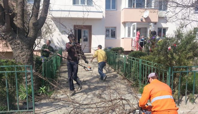 Lenea e cucoană mare! Aproape 3.000 de constănțeni stau la mila statului - fondajutoaresociale23-1635086639.jpg