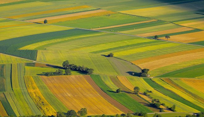 Birocraţia stufoasă îngreunează vânzarea terenurilor agricole (II) - fondbirocratiastufoasaingreuneaz-1606757386.jpg