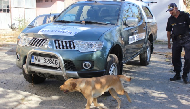 Câinii - polițiști de frontieră, cei mai buni în găsirea drogurilor - fondcainigardadecoasta5-1350841112.jpg