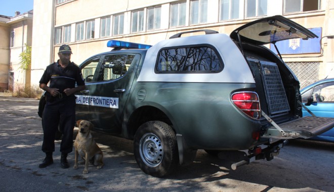 Câinii - polițiști de frontieră, cei mai buni în găsirea drogurilor - fondcainigardadecoasta7-1350841120.jpg