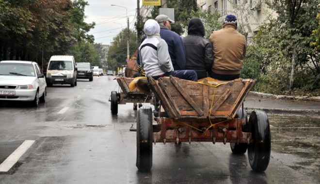 Curse ilegale inedite în Constanța: 