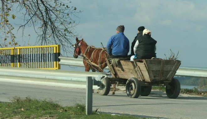PERICOL MARE: CURSE ILEGALE DE CĂRUȚE pe drumurile din Constanța! - fondcarute2-1363022260.jpg