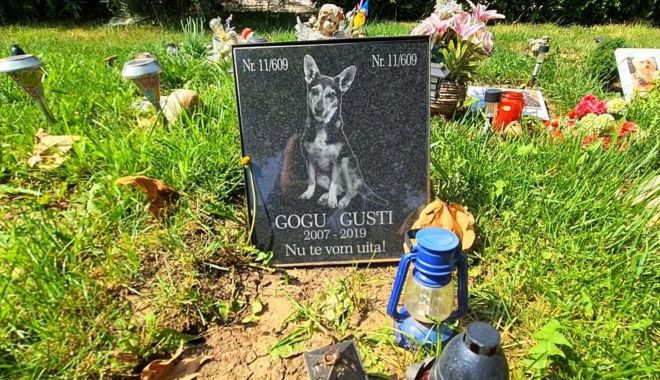 Pentru unii moft, pentru alții necesitate: „În țară există cimitire pentru animale. În Constanţa când?” - fondcimitiranimalejpg33-1667576963.jpg