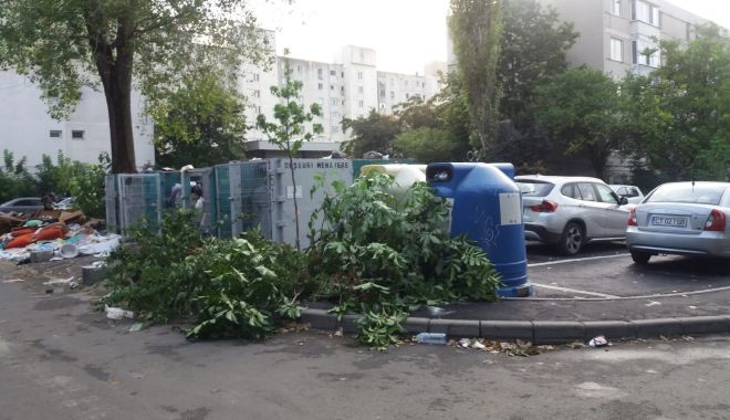 Constanța frumoasă și turistică! Munți de gunoaie în cartiere, mirosuri pestilențiale în stațiune - fondconstantafrumoasa-1564521241.jpg