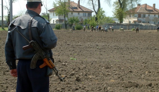 Deținuții de la Poarta Albă vor să muncească. I-ați angaja? - fonddetinutimunca-1374161558.jpg