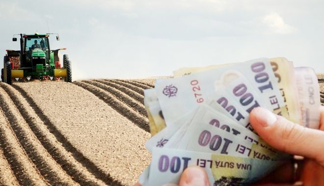 Explozie de oferte pe piața constănțeană a terenurilor agricole. Iată prețurile cerute de vânzători! - fondexploziedeoferte-1638902747.jpg