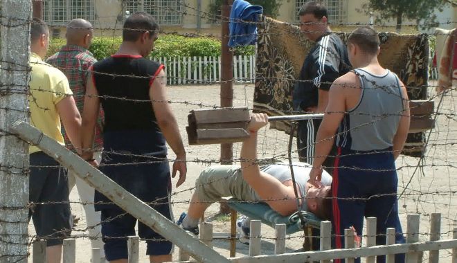 Gardienii vor învăța cum să vorbească 