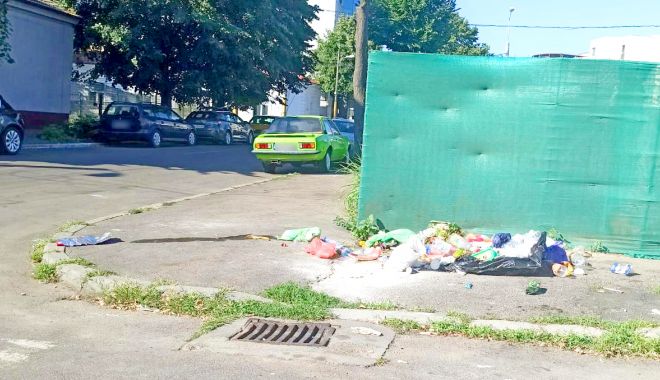 Ne vor invada șobolanii? „Noi asigurăm servicii de salubrizare, nu facem educaţie!” - fondgunoaieprint-1628623293.jpg