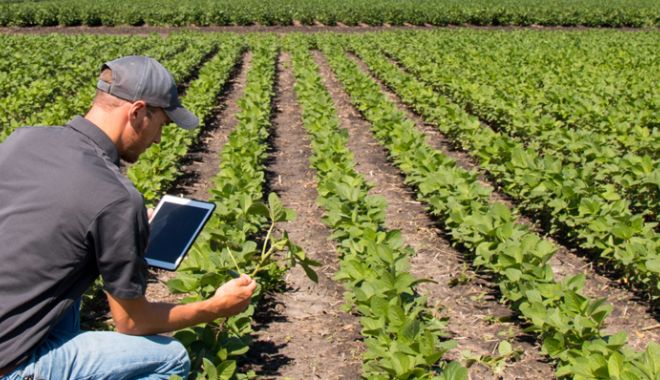 Hibrizii inovativi şi cercetarea ar putea fi soluţia unei agriculturi durabile - fondhibriziiinagricultura-1606330785.jpg