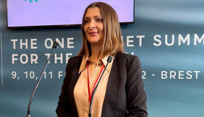Liberala Mihaela Andrei şi-a prezentat raportul de activitate din timpul deplasării la Brest - fondmihaelaandreii2-1646245755.jpg