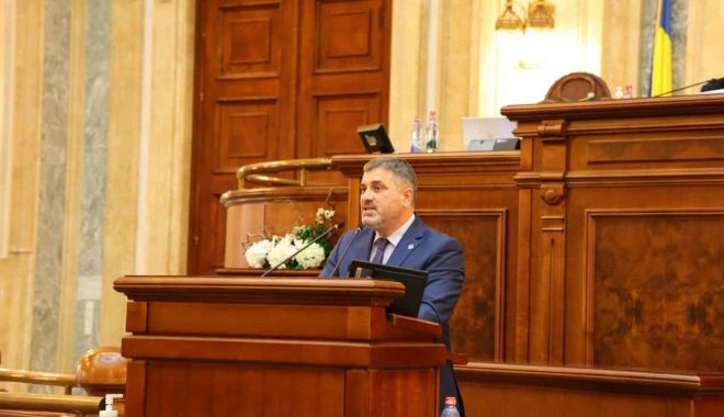 Senatorul USR Remus Negoi, dezamăgit de alianţa de la guvernare! 