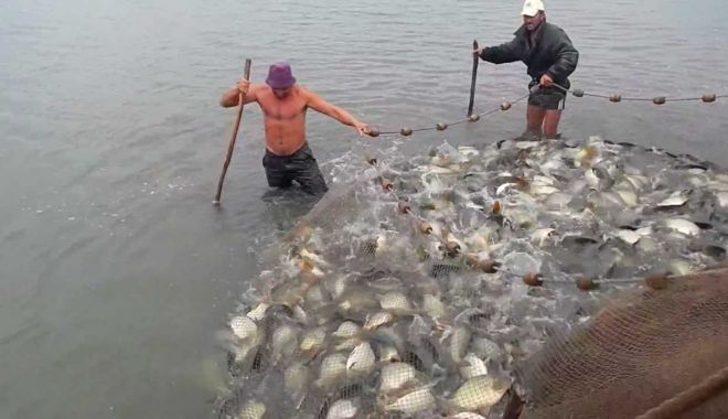 Nu-i minciună! Pescarii de la Marea Neagră și Dunăre au capturat peste 3.179 tone de pește - fondnuiminciunapescariidelamarea-1656093472.jpg