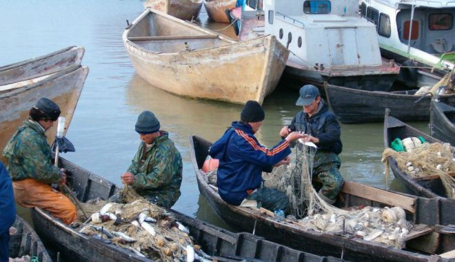 Nu-i minciună! Pescarii de la Marea Neagră și Dunăre au capturat peste 3.179 tone de pește - fondnuiminciunapescariidelamarea-1656093499.jpg