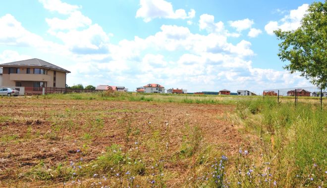 Numărul ofertelor de pe piața terenurilor agricole din județul Constanța e în declin - fondnumarulofertelor3-1665311764.jpg