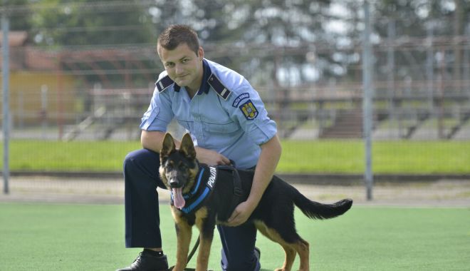 Mai multe patrule cu câini pe străzi. IGPR vrea listă cu polițiștii dornici să lucreze cu patrupedele - fondpatrulecucaini1-1658415593.jpg