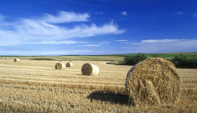 Peste 400 de hectare de terenuri agricole, scoase la vânzare într-o singură zi, în județul Constanța - fondpeste400dehectaredeterenuria-1653830039.jpg