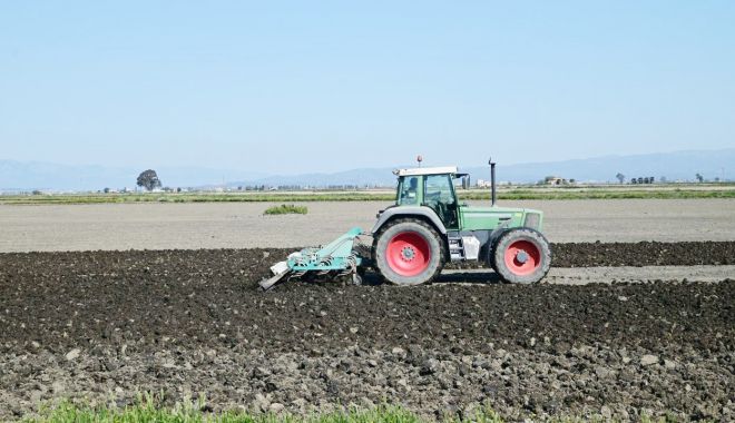 Piața constănțeană a terenurilor agricole mustește de oferte de vânzare - fondpiataconstanteanaaterenurilo-1641408854.jpg
