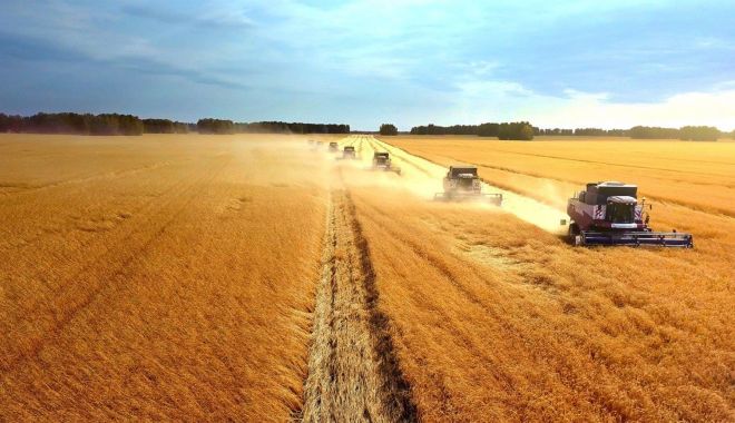 Producția de cereale a României a crescut cu aproape 50%, în 2021