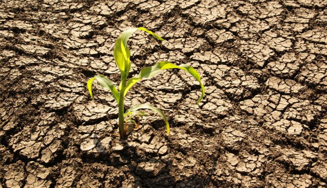 Seceta, adevăratul inamic al prosperităţii economice. Despăgubirile nu rezolvă problema - fondseceta-1609871314.jpg