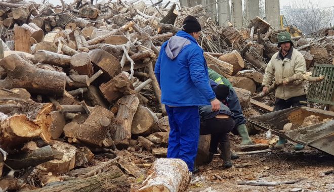 Țepe cu lemnele de foc. Protecția Consumatorilor, 