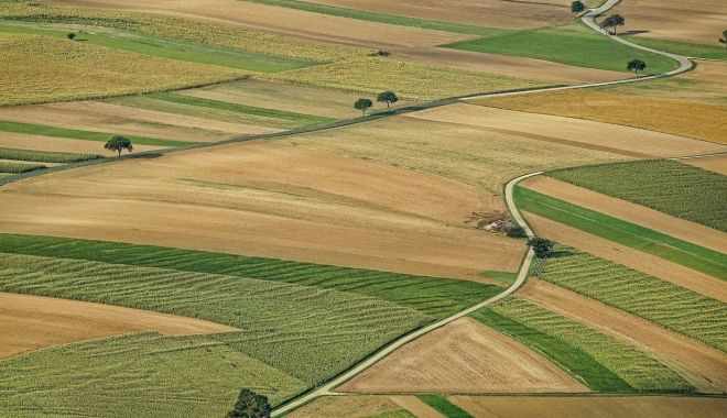 Terenurile agricole, la mare căutare şi în februarie. Pe ce loc se situează Constanța - fondterenuriagricolelamarecautar-1615313179.jpg