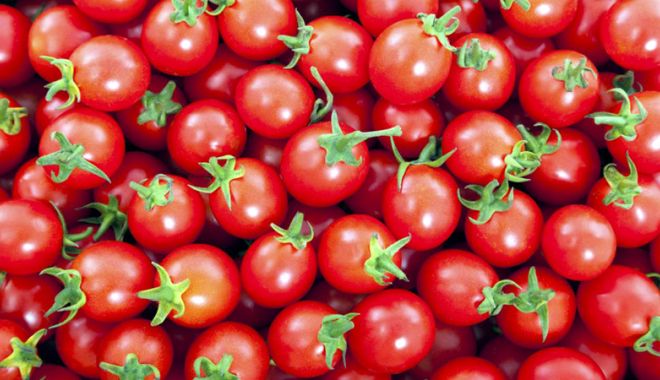 Ministrul Agriculturii, Petre Daea: Programul 