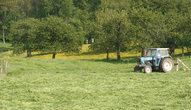 Guvernul legiferează fondurile mutuale din agricultură - fonduri-1371631122.jpg