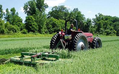 De unde pot lua credite fermierii constănțeni - fondurieuropeneinagricultura-1346265840.jpg