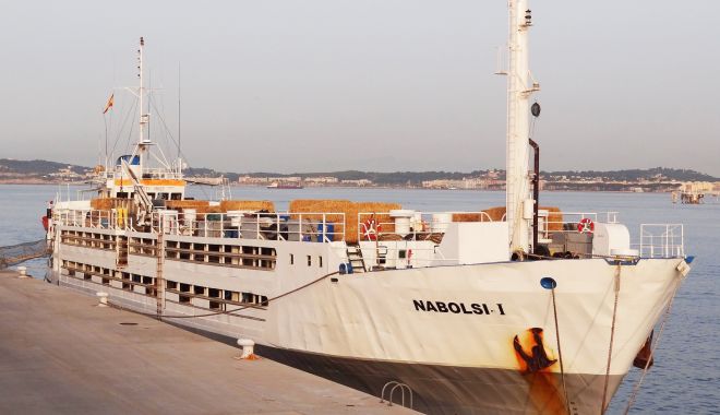Zece nave sub standard au fost reținute de inspectorii Autorității Navale Române - fondzecenavesubstandardaufostret-1635509991.jpg