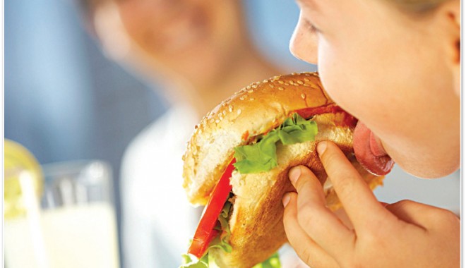 Legea Sănătății ar putea pune taxă pe fast food și bere - food-1337294805.jpg