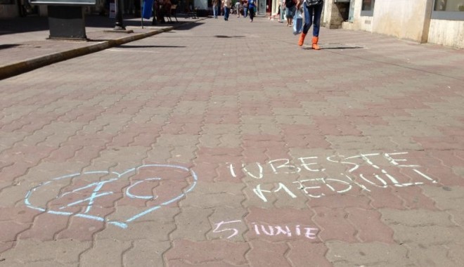 Cum a marcat Forța Civică 
