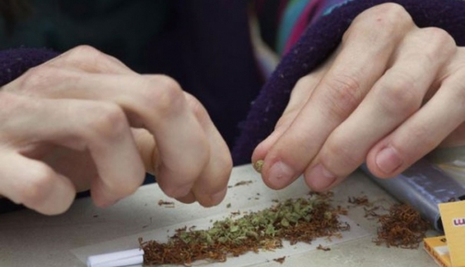TRAFICANȚI DE CANNABIS, REȚINUȚI DE POLIȚIȘTI - foto109096-1465027417.jpg