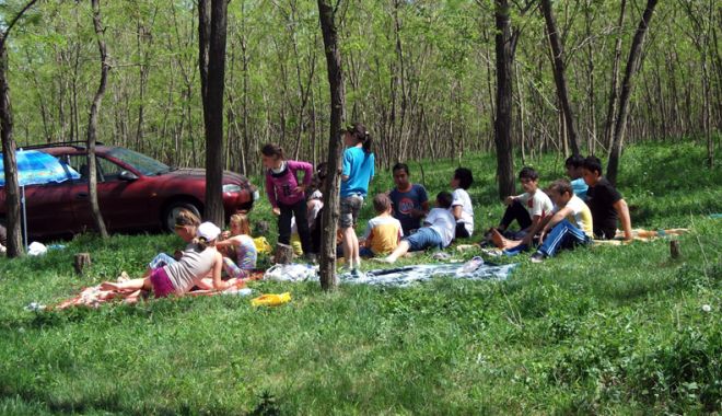 Ieșiți la grătar de 1 Mai? Atenție unde faceți focul și lăsați gunoaiele! - fotofondamenzipicnic-1524843753.jpg