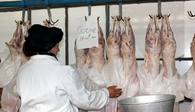 Atenție, carne cu E-Coli pe piață! Inspectorii veterinari continuă controalele - fotofondcontroale11461684241-1478524005.jpg