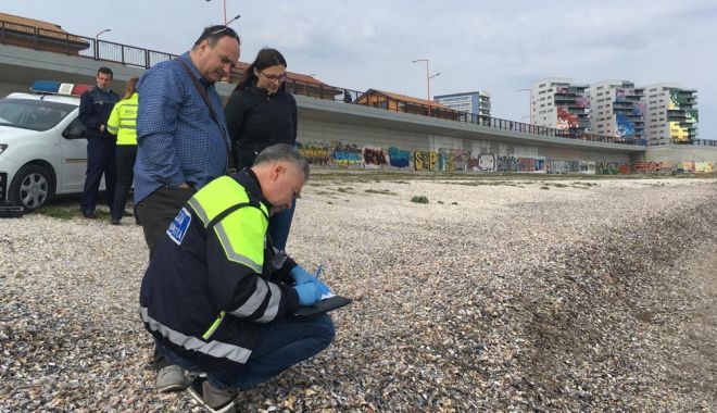 Alte șase pachete cu 150 kg de cocaină, găsite plutind pe mare - fotofonddroguri51554665700-1554896434.jpg