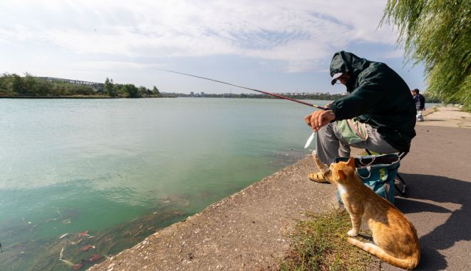 Lacul Tăbăcărie, plimbat între instituţii. Cine vrea să îl exploateze - fotofondlacultabacarie2-1608146385.jpg