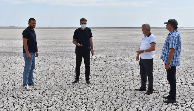 O șansă pentru salvarea lacului Nuntași. 