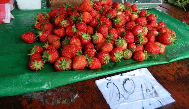 Constănțenii, îndopați cu fructe de import. Căpșunele și cireșele românești, aduse din… Grecia - fotofondpiete1-1431706642.jpg